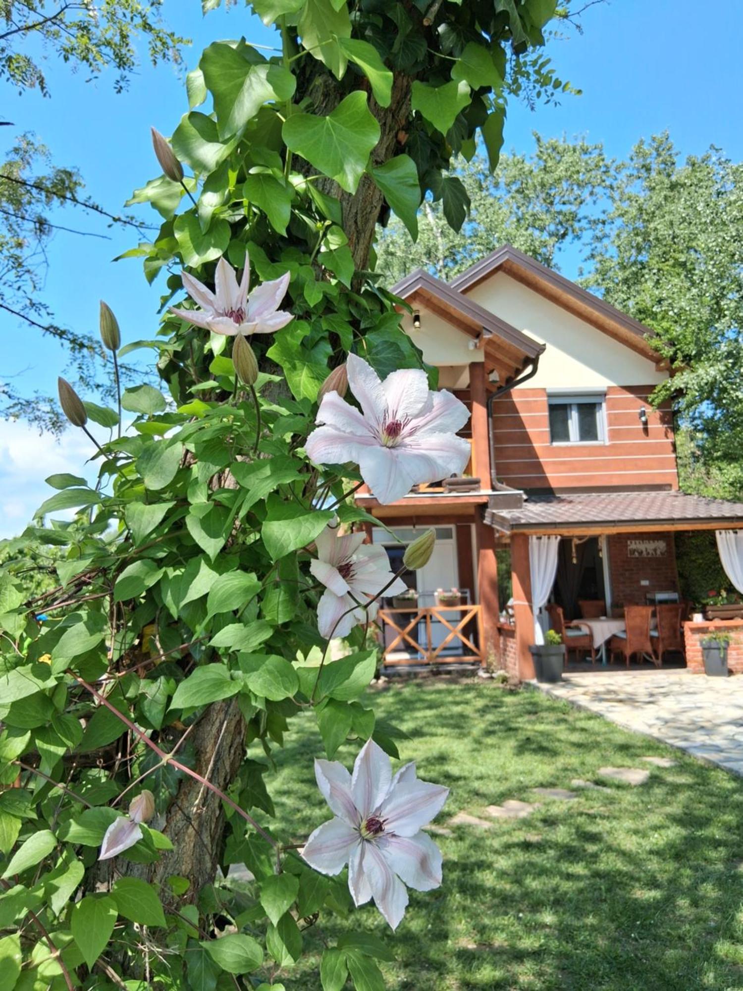 Holiday home Drinski Kej Zvornik